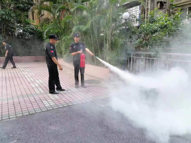 物業(yè)安保服務(wù)公司需要具備哪些技能