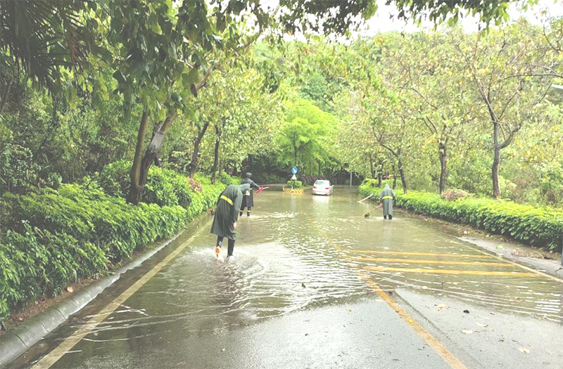廣東軍衛(wèi)保安服務隊員暴雨中緊急救援，確保道路暢通獲好評